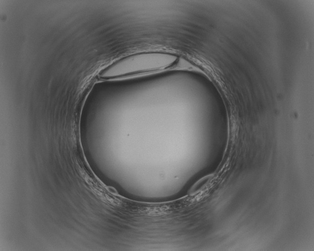 X0000068810345200605261531