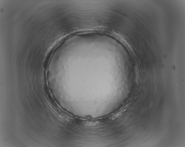 X0000068810346200605261531