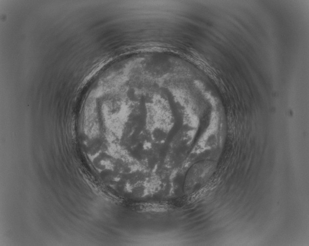 X0000068810347200605261531