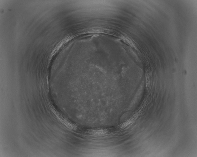 X0000068810349200605261531