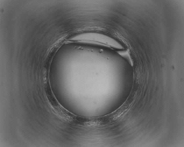 X0000068810356200605261531