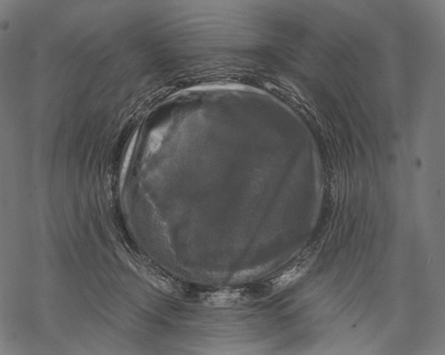 X0000068810366200605261531