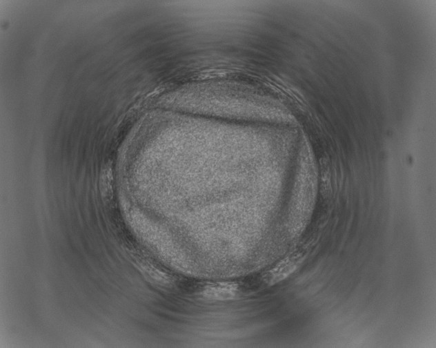 X0000068810369200605261531