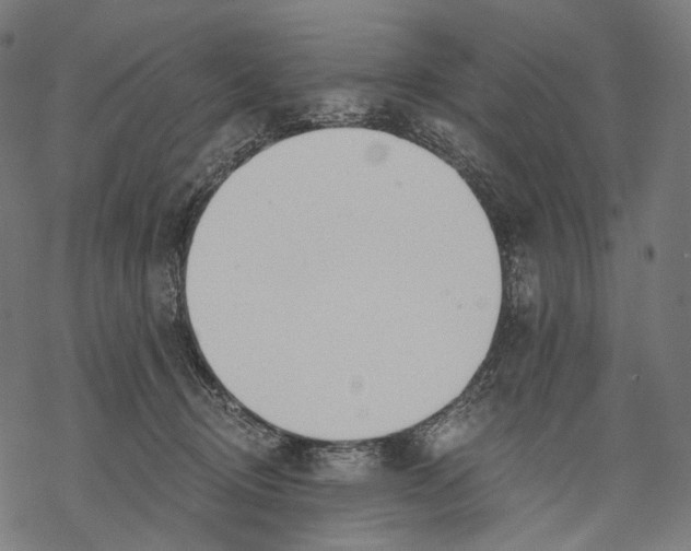 X0000068810370200605261531