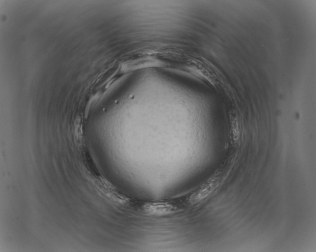 X0000068810372200605261531