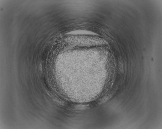 X0000068810375200605261531