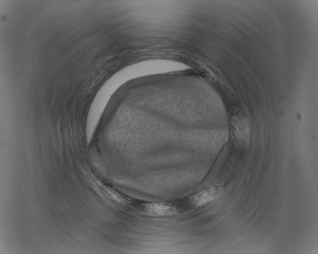 X0000068810380200605261532