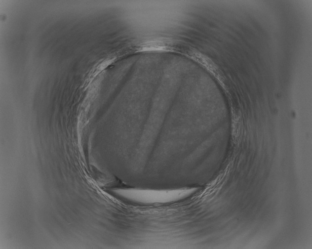 X0000068810385200605261531