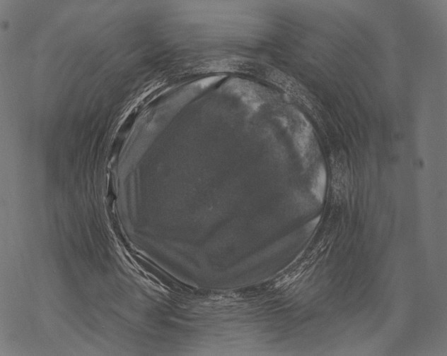 X0000068810386200605261531