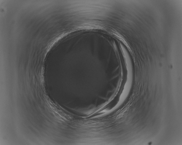 X0000068810387200605261531