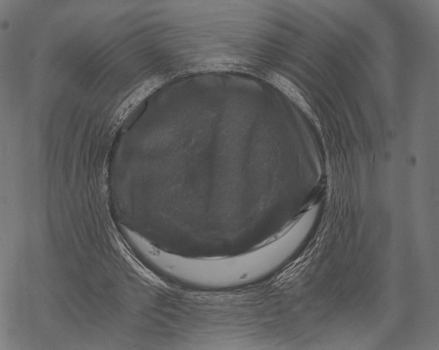 X0000068810389200605261531