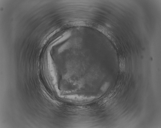 X0000068810390200605261531