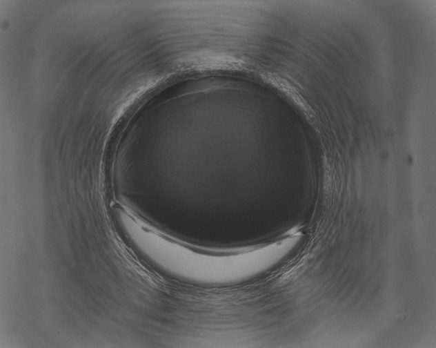 X0000068810391200605261531