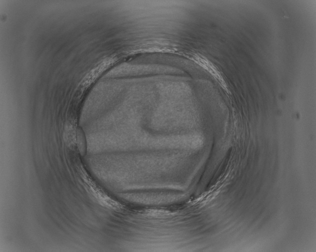 X0000068810393200605261531