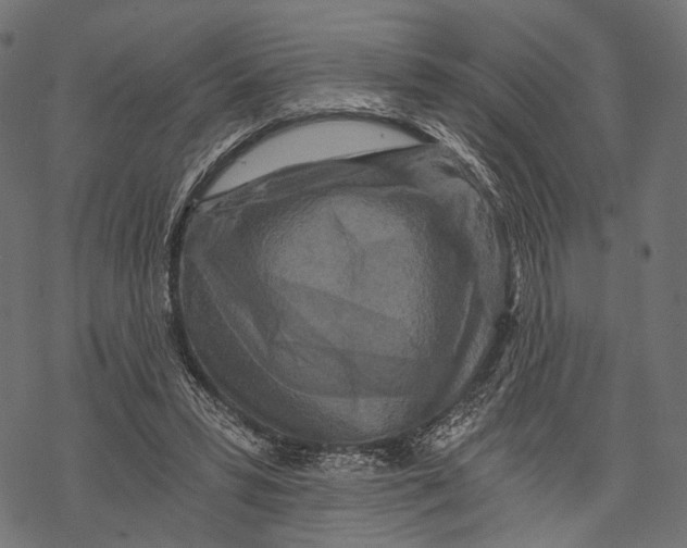 X0000068810399200605261531