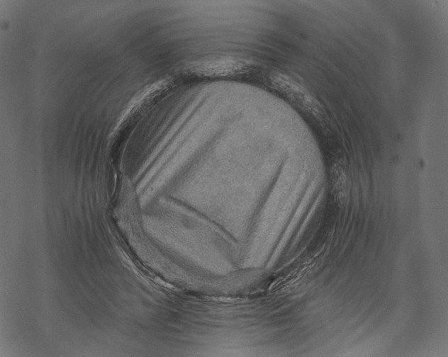 X0000068810400200605261531