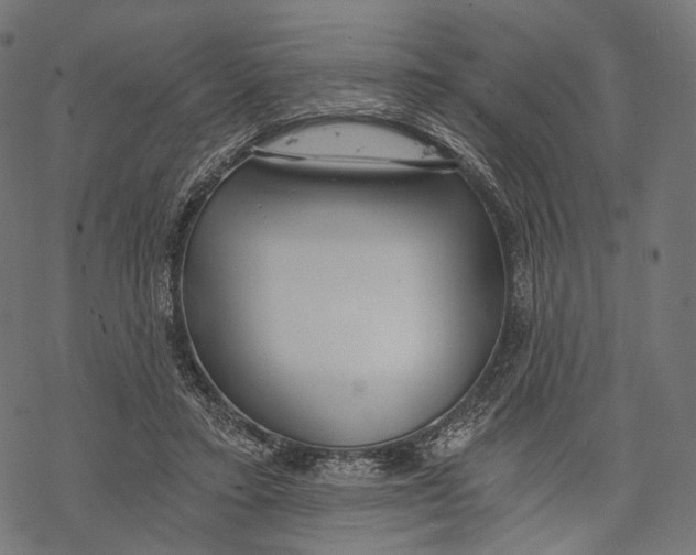 X0000068810403200605261531