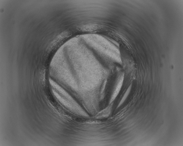 X0000068810404200605261531