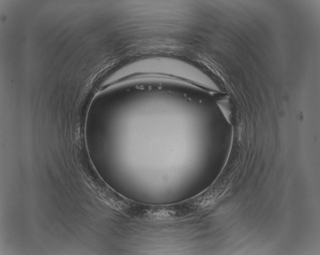 X0000068810407200605261531