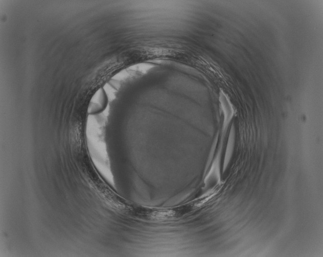 X0000068810410200605261530