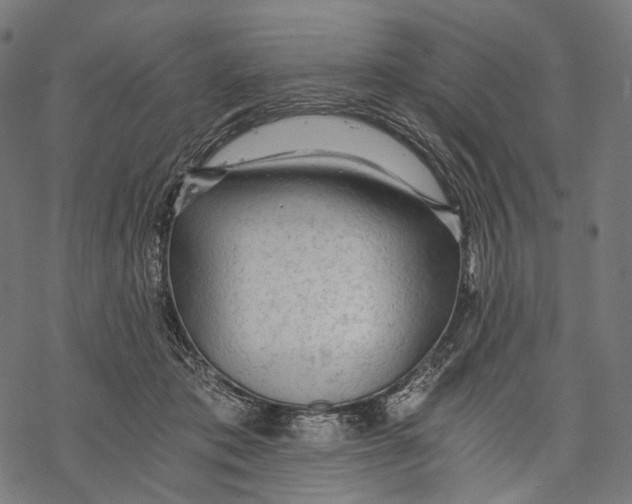 X0000068810413200605261530