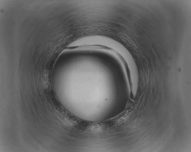 X0000068810416200605261530