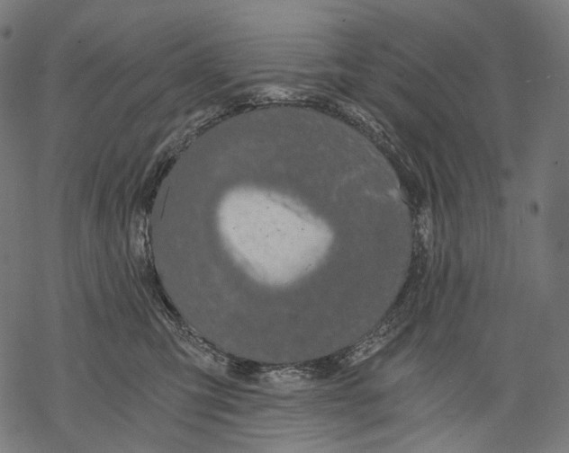 X0000068810423200605261530