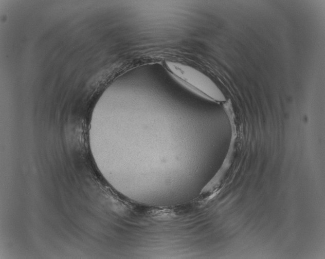 X0000068810424200605261530