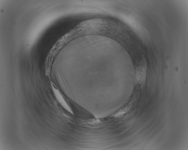 X0000068810431200605261530