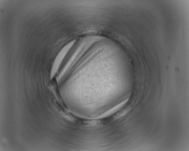 X0000068810432200605261530