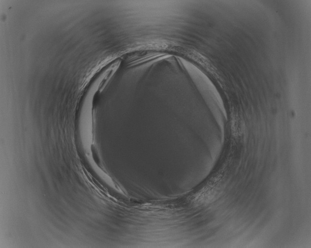 X0000068810434200605261529