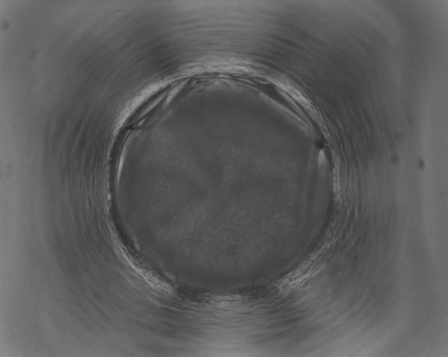 X0000068810438200605261529
