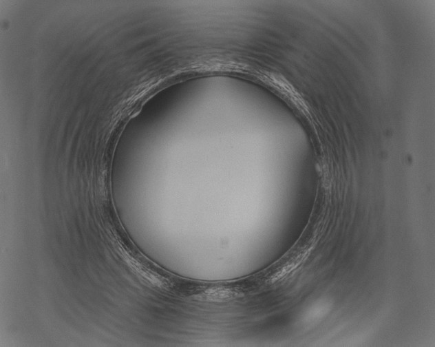 X0000068810441200605261529