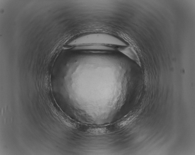 X0000068810449200605261530