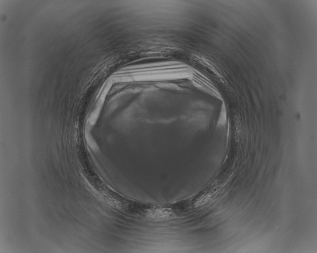 X0000068810451200605261530