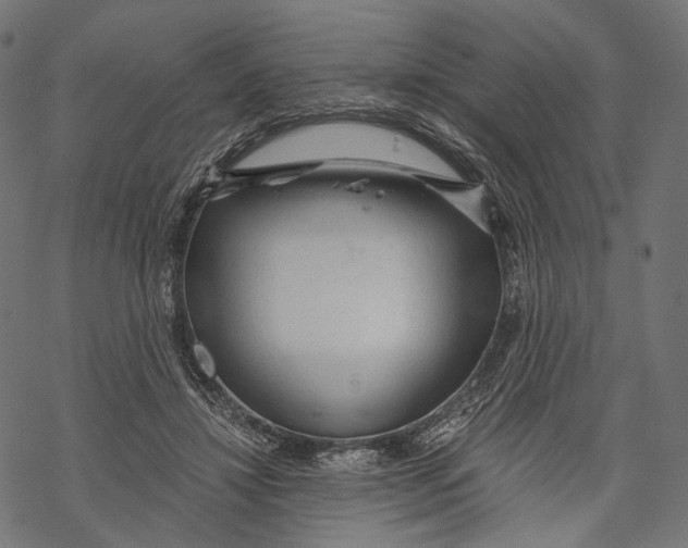 X0000068810452200605261530