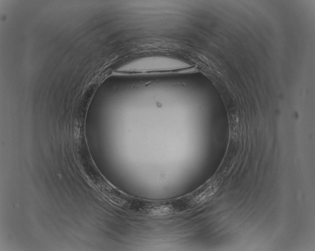 X0000068810456200605261530