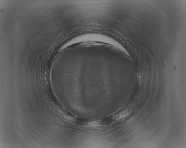 X0000068810462200605261530