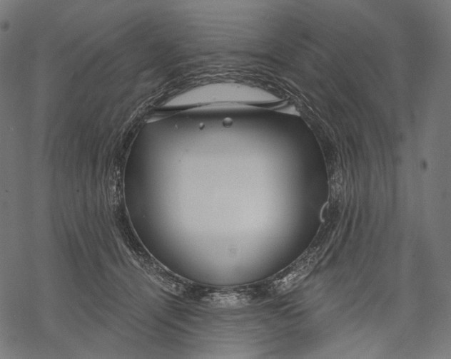 X0000068810464200605261530
