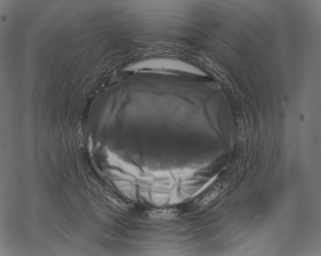 X0000068810465200605261530