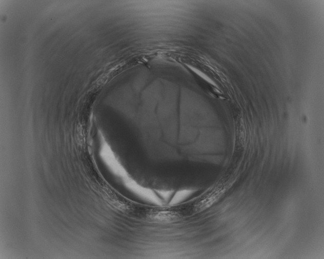 X0000068810467200605261530