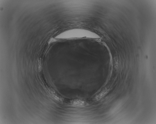 X0000068810471200605261530