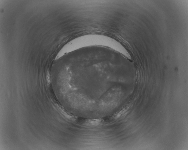 X0000068810479200605261530