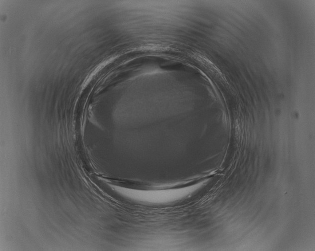 X0000068810484200605261529