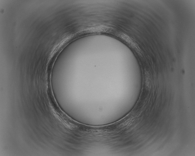 X0000068810486200605261529