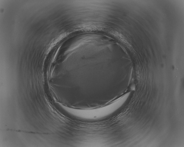 X0000068810488200605261529