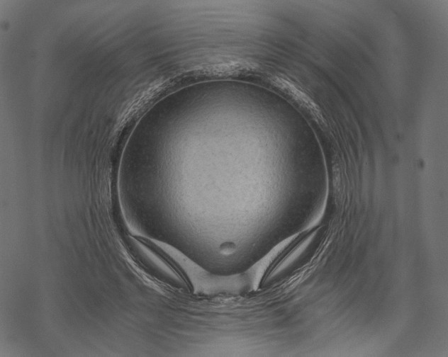 X0000068810493200605261529