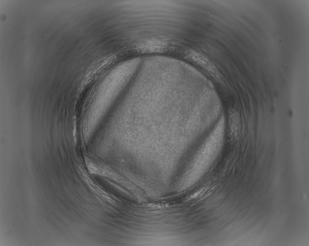 X0000068810494200605261529