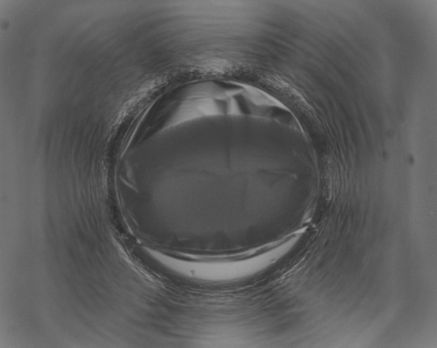 X0000068810496200605261529