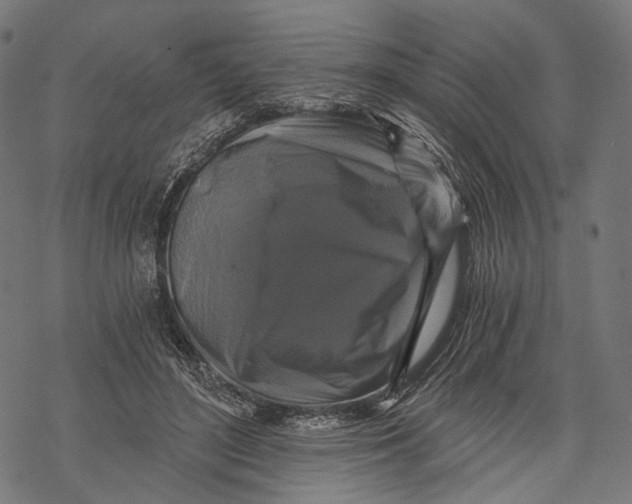 X0000068810500200605261529